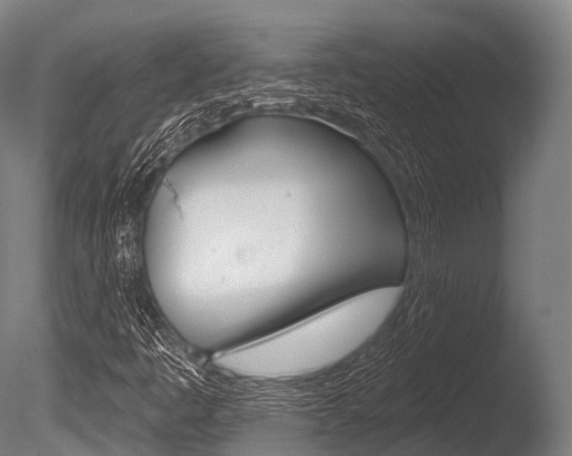 X0000086051445200703230908