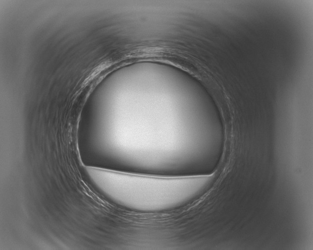 X0000086051449200703230908