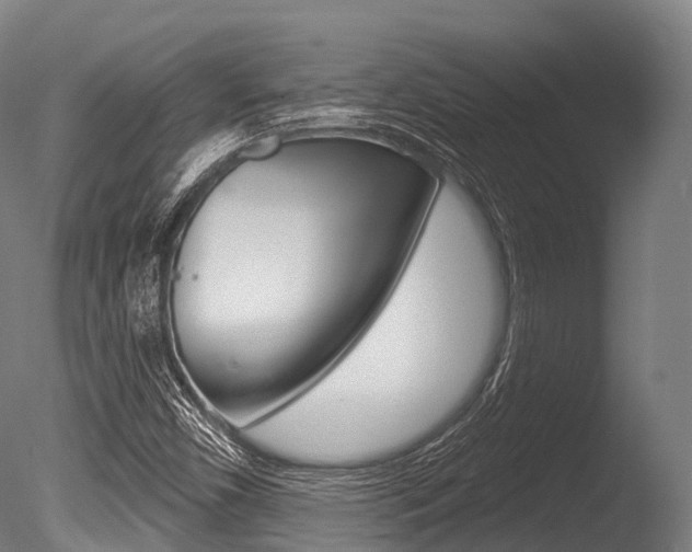 X0000086051450200703230908