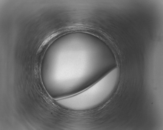 X0000086051453200703230908