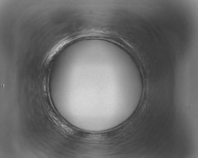 X0000086051455200703230908