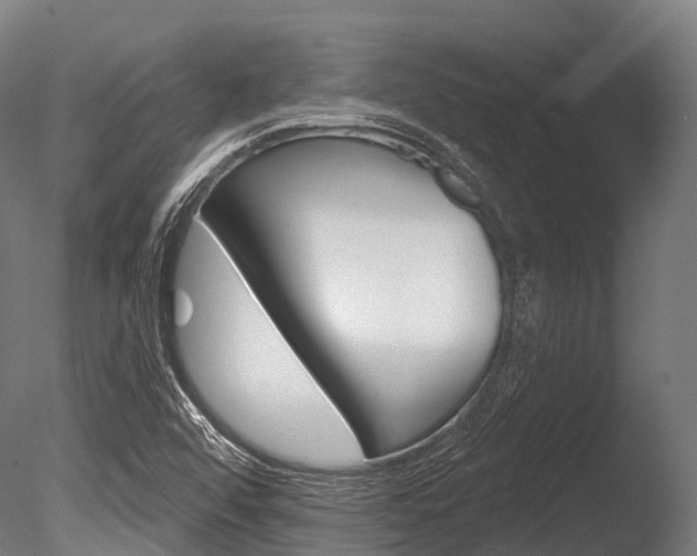 X0000086051456200703230908