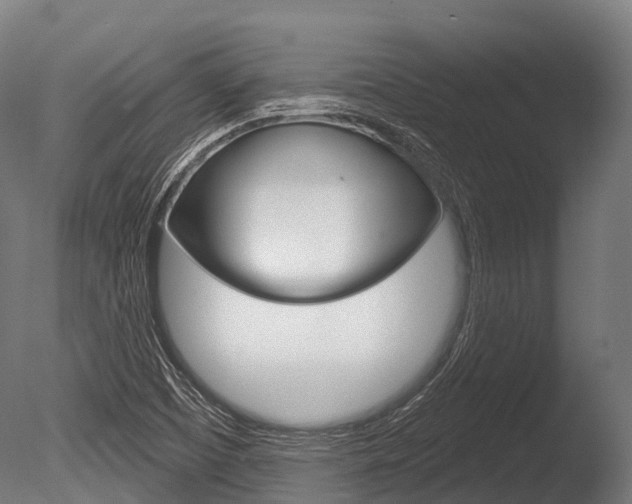 X0000086051457200703230908