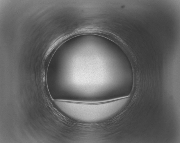 X0000086051461200703230908