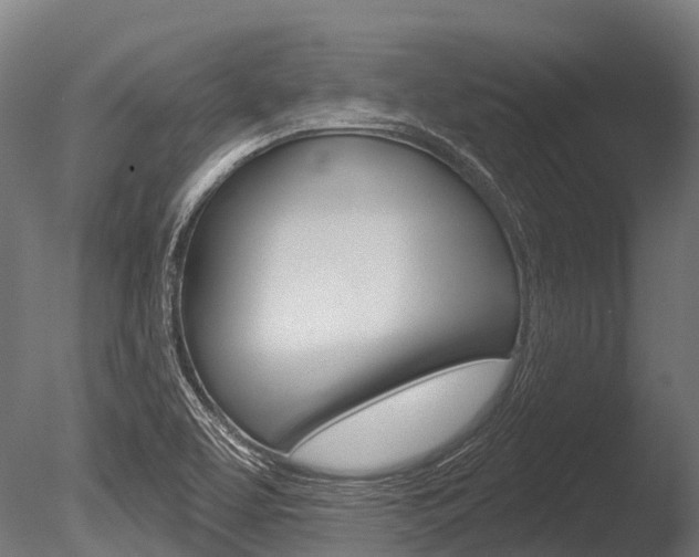 X0000086051463200703230908