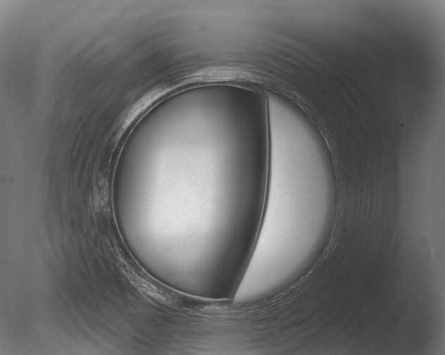 X0000086051465200703230908