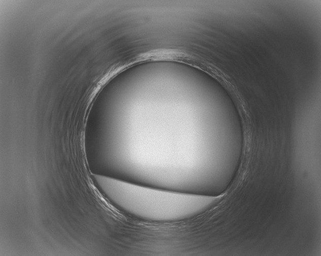 X0000086051473200703230907