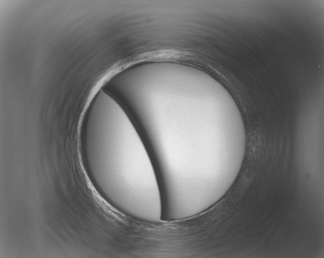 X0000086051475200703230907