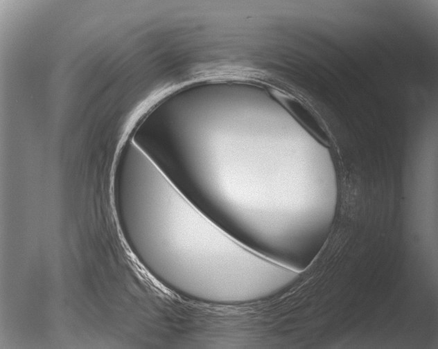 X0000086051480200703230907