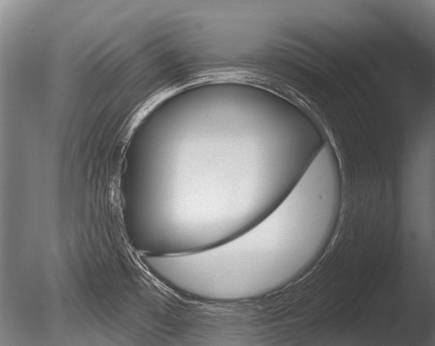 X0000086051481200703230907