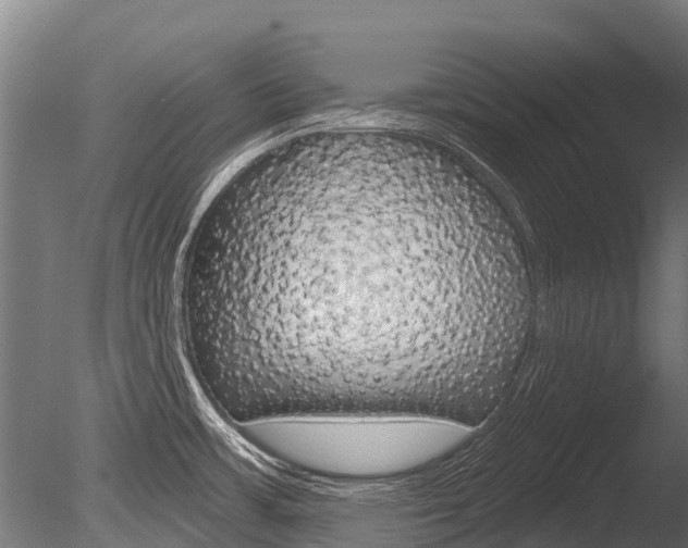 X0000086051483200703230907