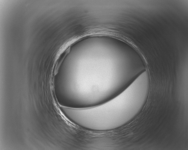 X0000086051485200703230907