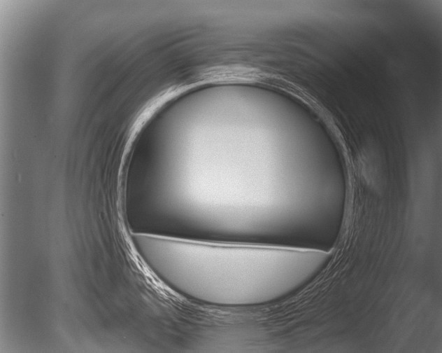 X0000086051488200703230907