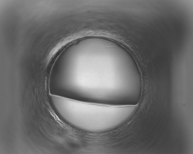 X0000086051503200703230907