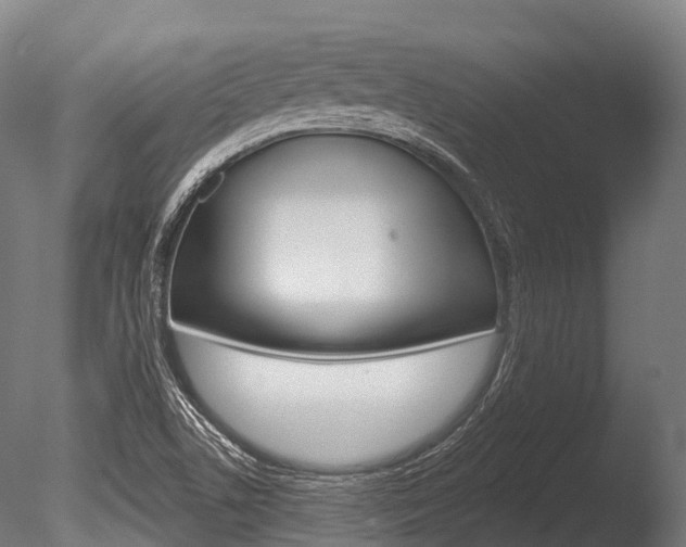 X0000086051506200703230907