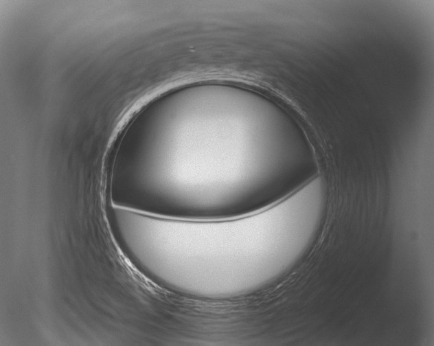 X0000086051508200703230907
