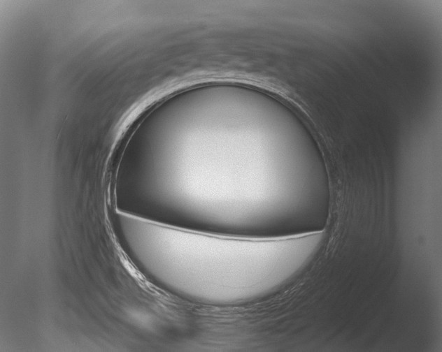 X0000086051511200703230907