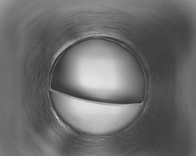 X0000086051513200703230907