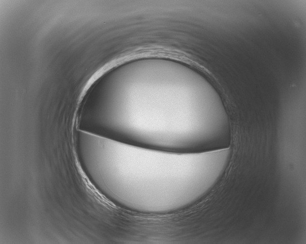 X0000086051522200703230907