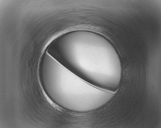 X0000086051523200703230907
