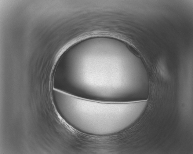 X0000086051527200703230907