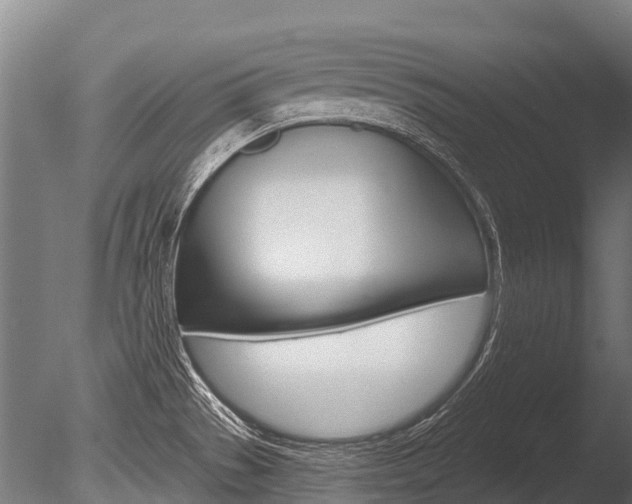 X0000086051529200703230907