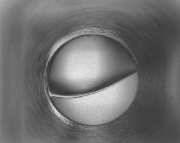X0000086051531200703230907