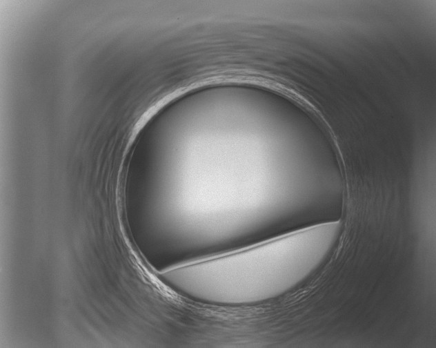 X0000086051533200703230907