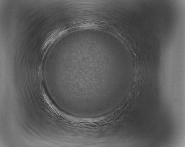 X0000086050002200703231319