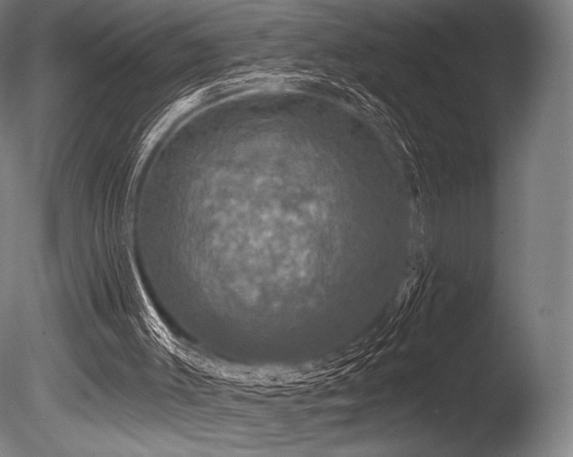 X0000086050003200703231319