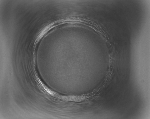 X0000086050005200703231319
