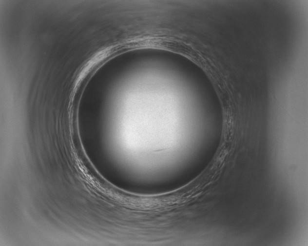 X0000086050006200703231319