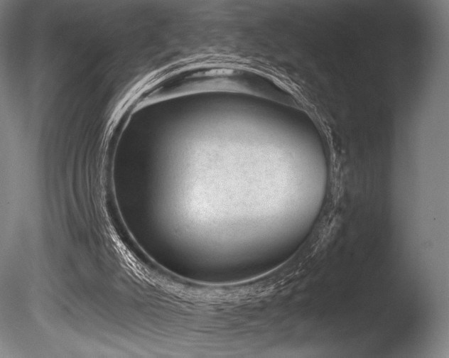 X0000086050007200703231319