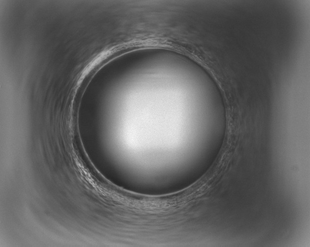 X0000086050008200703231319