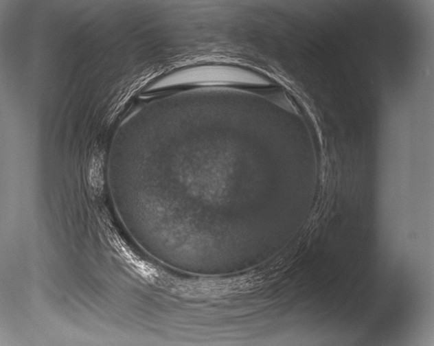 X0000086050009200703231319