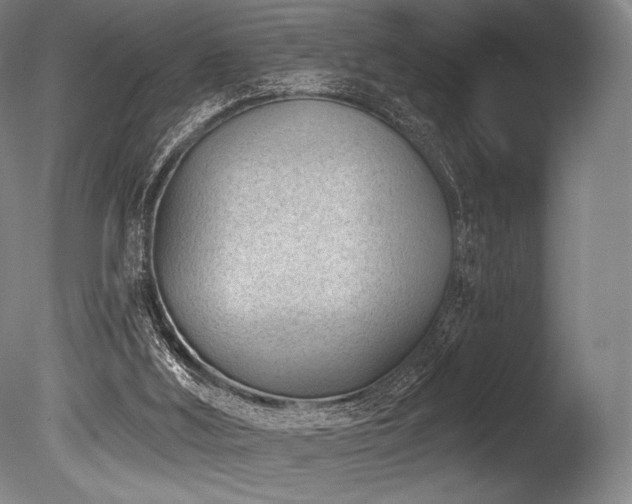 X0000086050012200703231319