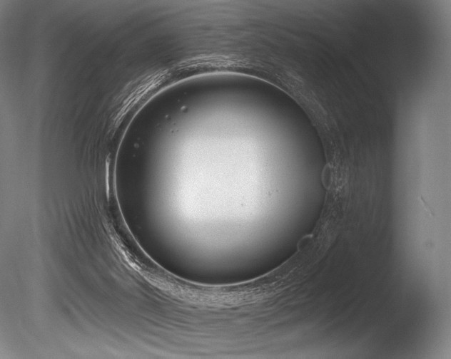 X0000086050014200703231319