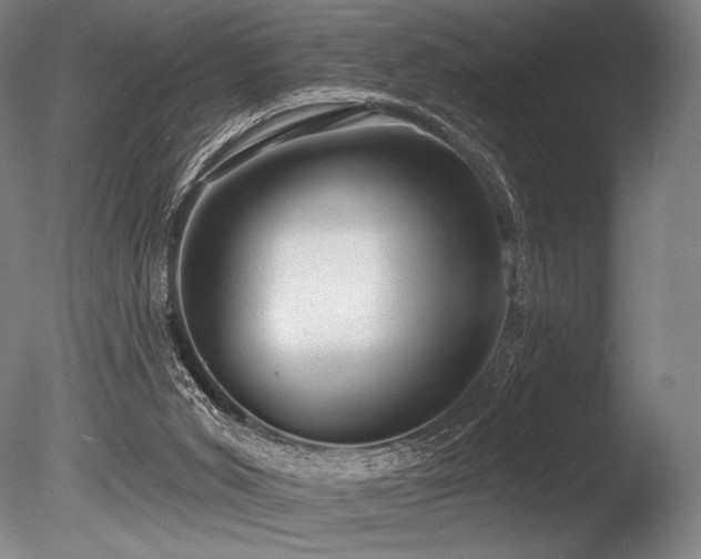 X0000086050015200703231319