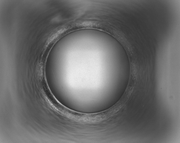 X0000086050016200703231319