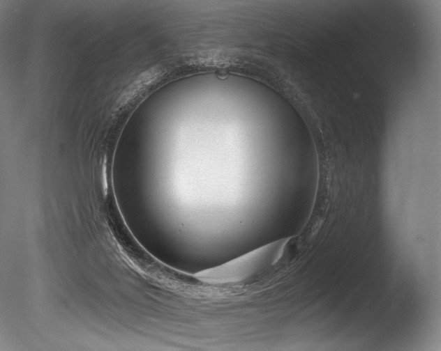 X0000086050020200703231319