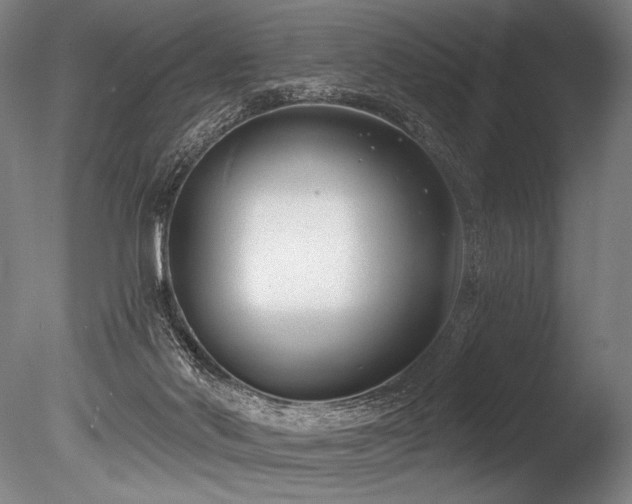 X0000086050022200703231319