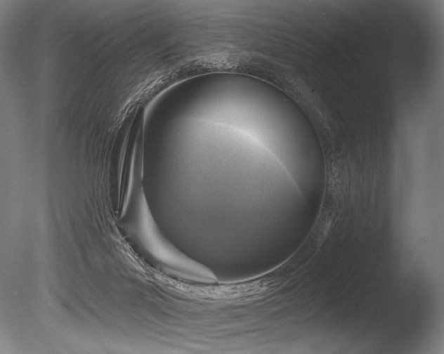 X0000086050023200703231319