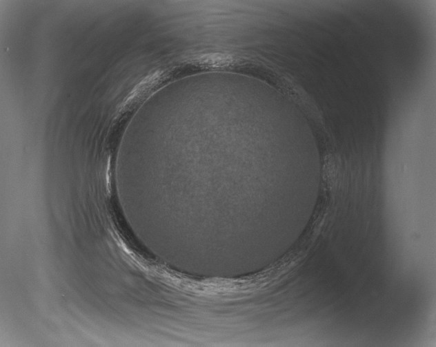 X0000086050024200703231319
