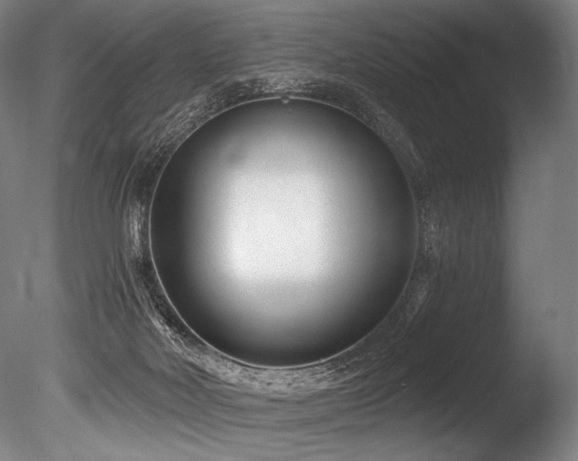 X0000086050026200703231319