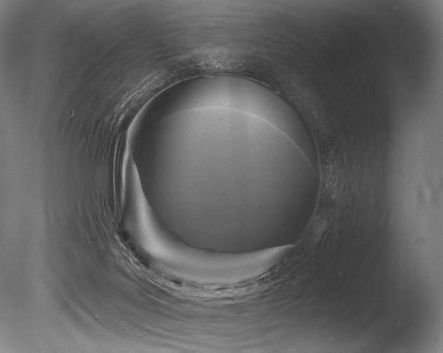 X0000086050027200703231319