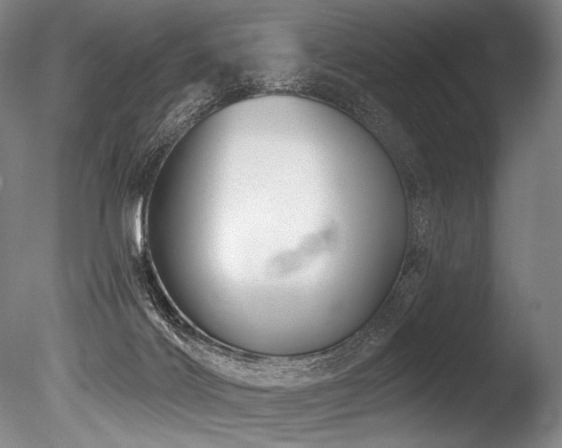 X0000086050028200703231319