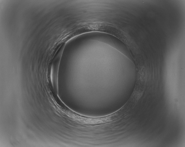 X0000086050031200703231319