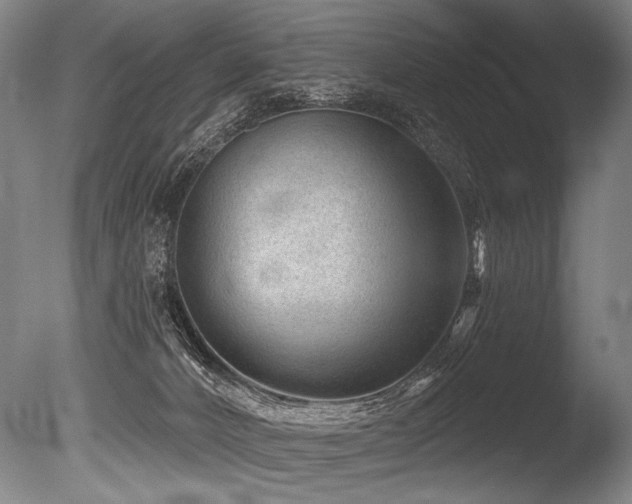 X0000086050032200703231319