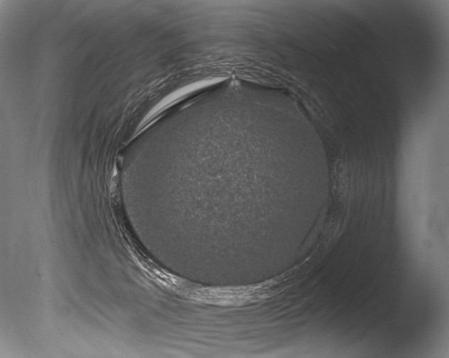 X0000086050033200703231319