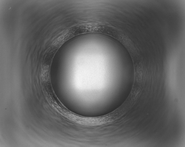 X0000086050034200703231319